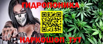 твердый Новокубанск