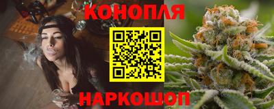 стаф Новозыбков
