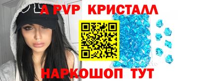 стаф Новозыбков
