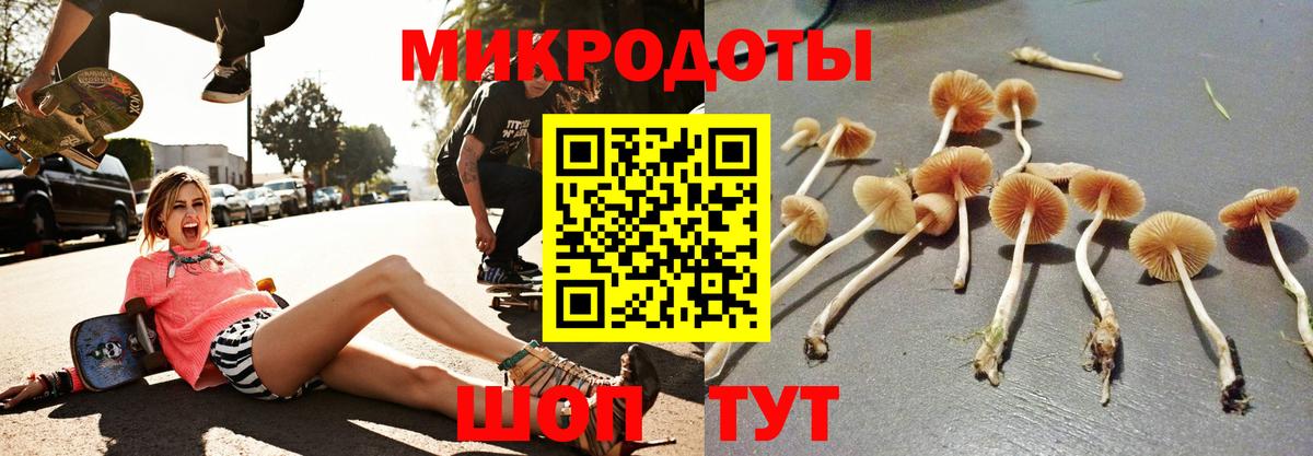 Псилоцибиновые грибы мицелий  Галлюциногенные грибы GOLDEN TEACHER  Вход с VPN  Боровичи 
